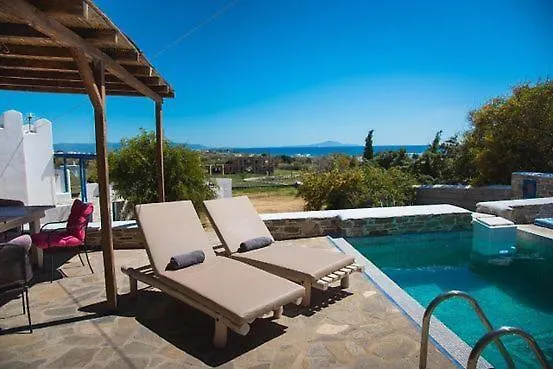 Crystal 4 흐리시 악티